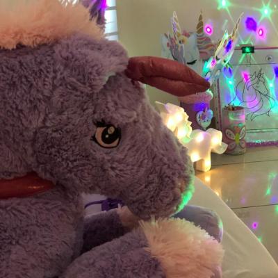 Unicornios055