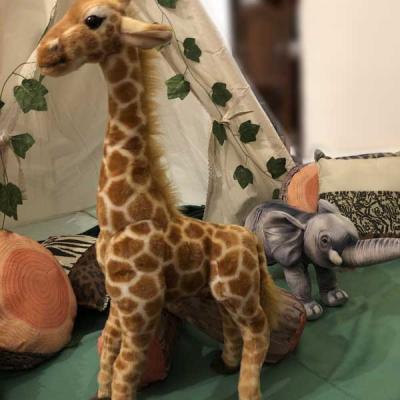 Safari