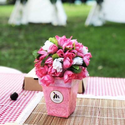 Picnic10