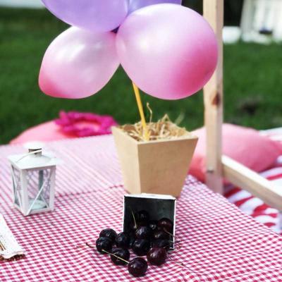 Picnic11