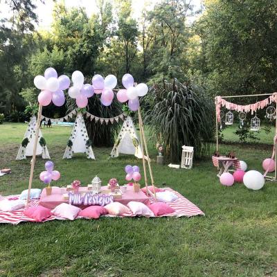Picnic13