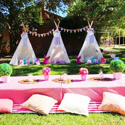 Picnic20