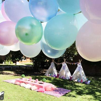 Picnic21