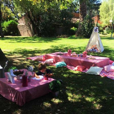 Picnic25