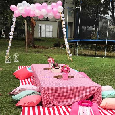 Picnic28