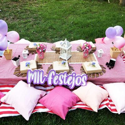 Picnic3