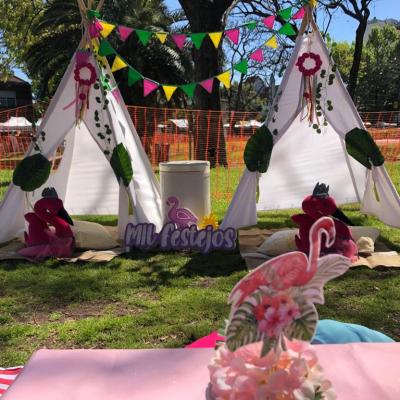 Picnic43