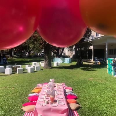 Picnic45