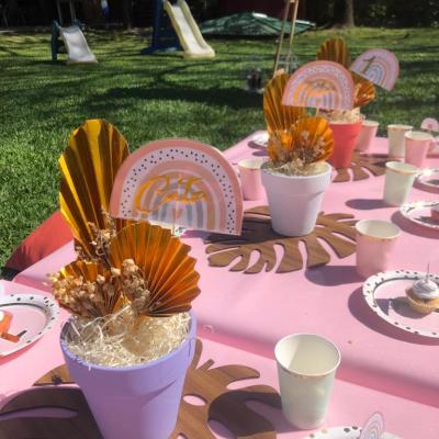 Picnic51
