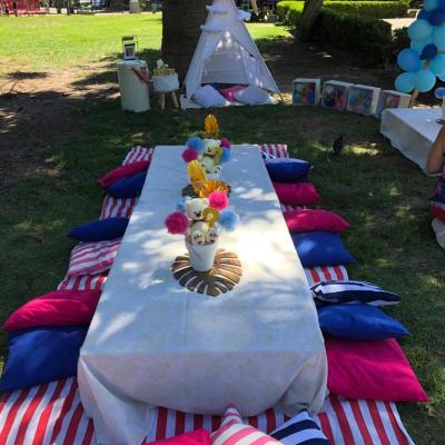 Picnic57