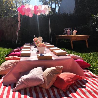 Picnic61
